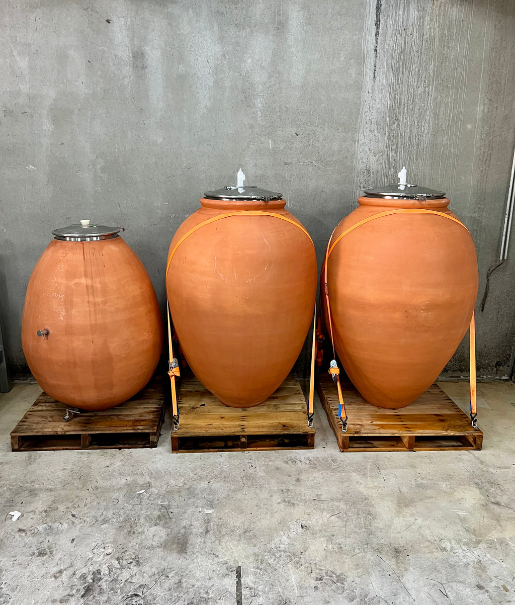 2023 Amphora Ferment Sauvignon Blanc